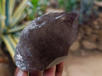 Natural Smokey Quartz Crystals x 6 From Erongo, Namibia - Toprock Gemstones and Minerals 