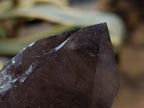 Natural Smokey Quartz Crystals x 6 From Erongo, Namibia - Toprock Gemstones and Minerals 