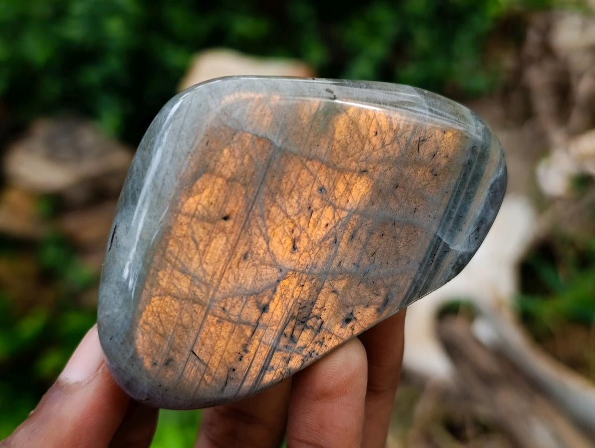 Polished Rare Purple Sunset Flash Labradorite Standing Free Forms x 3 From Madagascar - Toprock Gemstones and Minerals 