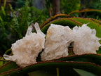 Natural Clear Quartz Clusters x 12 From Madagascar - Toprock Gemstones and Minerals 