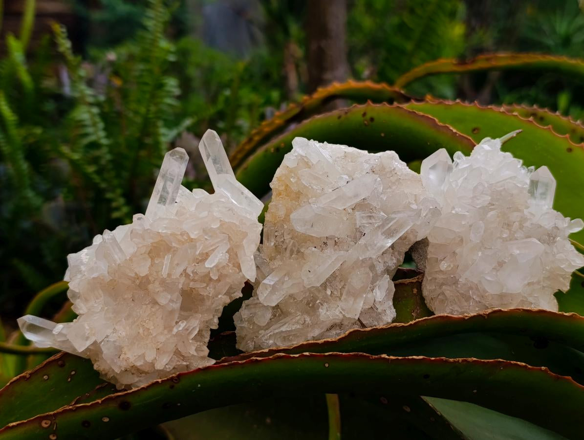 Natural Clear Quartz Clusters x 12 From Madagascar - Toprock Gemstones and Minerals 