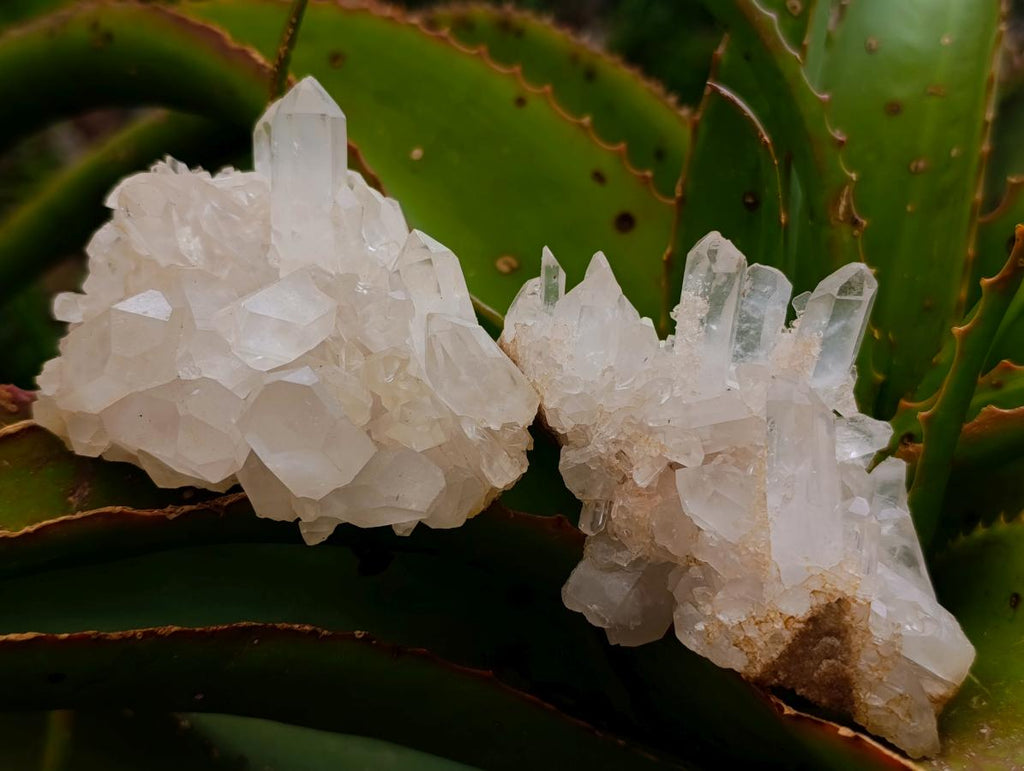 Natural Clear Quartz Clusters x 12 From Madagascar - Toprock Gemstones and Minerals 