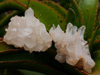 Natural Clear Quartz Clusters x 12 From Madagascar - Toprock Gemstones and Minerals 