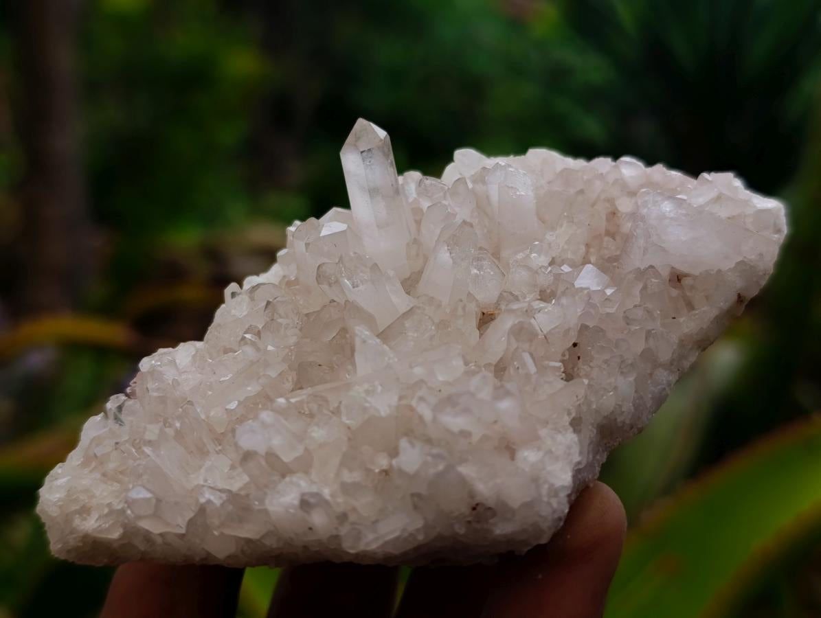 Natural Clear Quartz Clusters x 12 From Madagascar - Toprock Gemstones and Minerals 