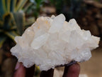 Natural Clear Quartz Clusters x 12 From Madagascar - Toprock Gemstones and Minerals 