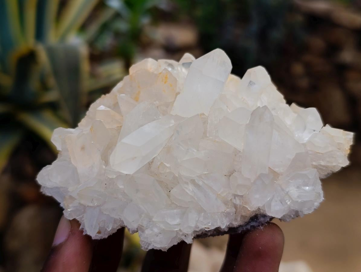 Natural Clear Quartz Clusters x 12 From Madagascar - Toprock Gemstones and Minerals 