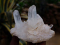 Natural Clear Quartz Clusters x 12 From Madagascar - Toprock Gemstones and Minerals 
