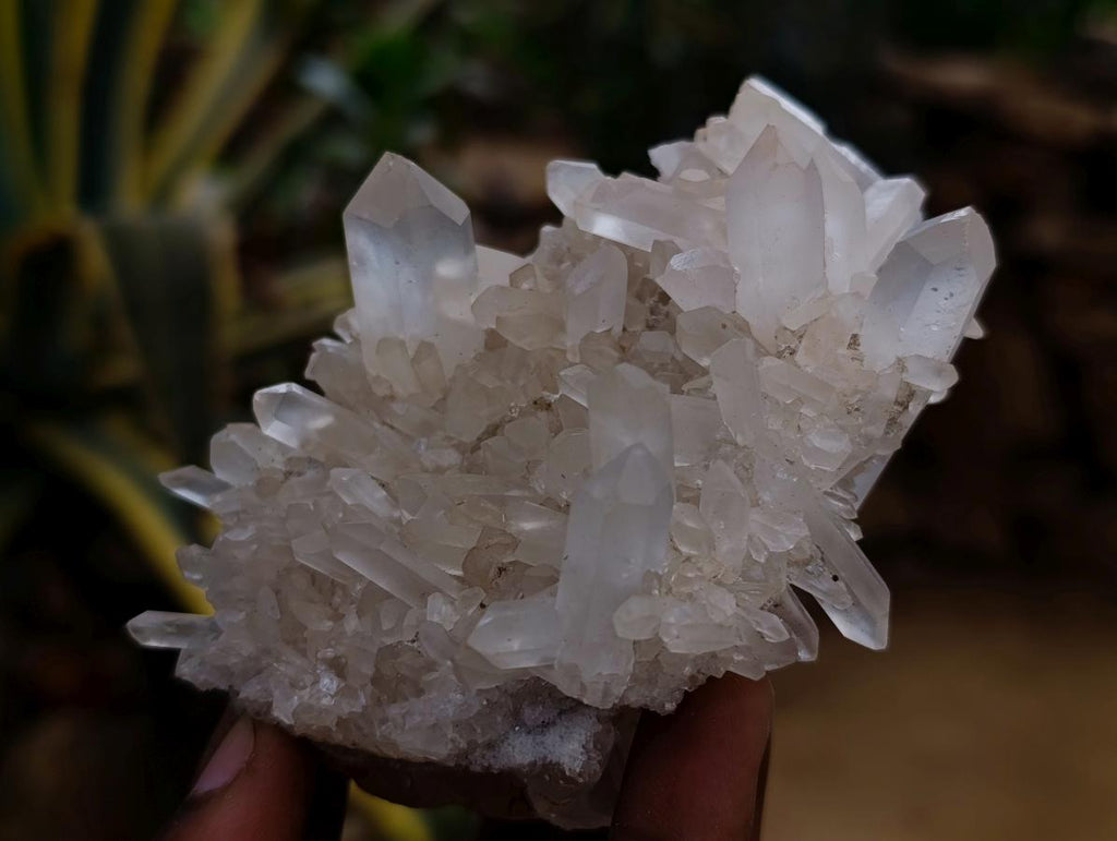 Natural Clear Quartz Clusters x 12 From Madagascar - Toprock Gemstones and Minerals 