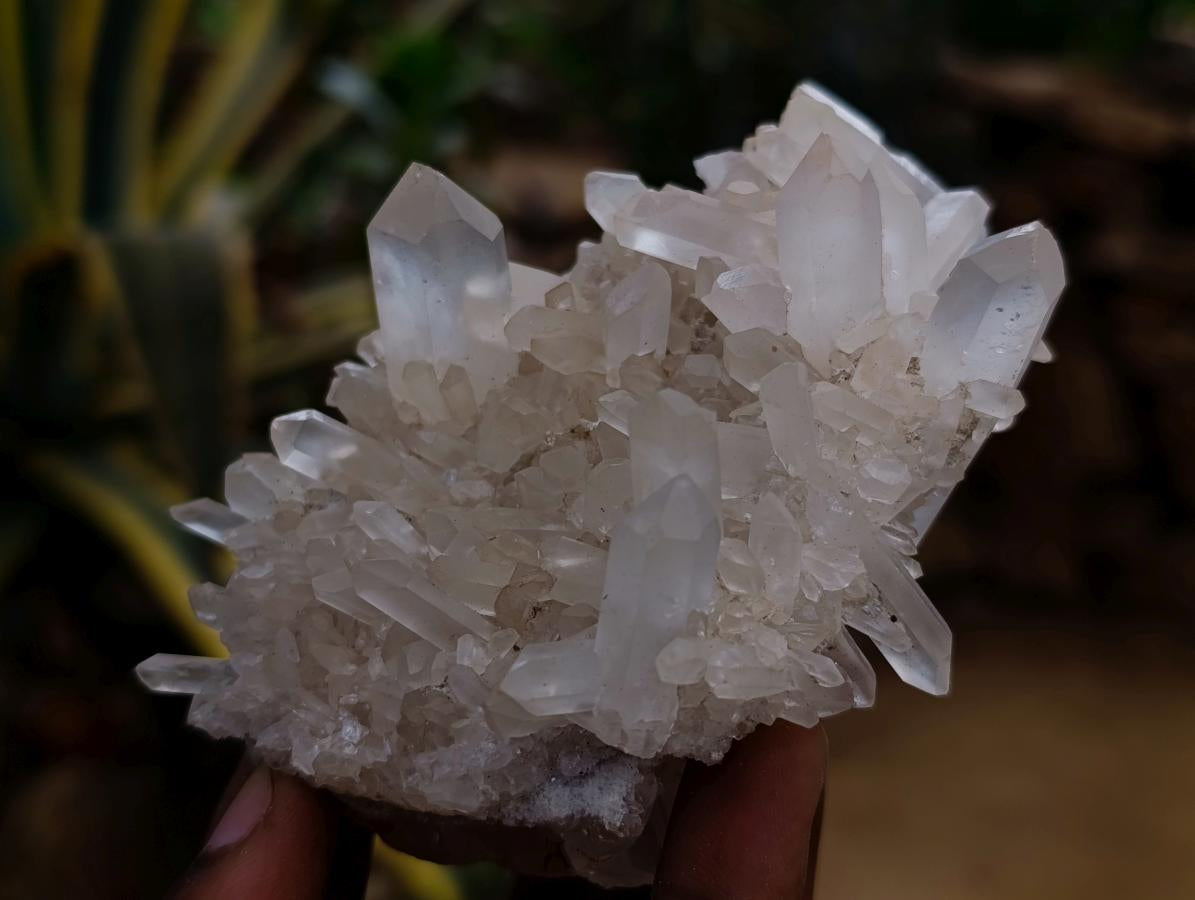 Natural Clear Quartz Clusters x 12 From Madagascar - Toprock Gemstones and Minerals 