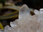 Natural Clear Quartz Clusters x 12 From Madagascar - Toprock Gemstones and Minerals 