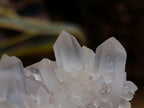 Natural Clear Quartz Clusters x 12 From Madagascar - Toprock Gemstones and Minerals 