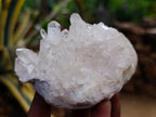Natural Clear Quartz Clusters x 12 From Madagascar - Toprock Gemstones and Minerals 