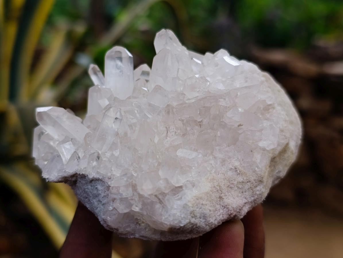 Natural Clear Quartz Clusters x 12 From Madagascar - Toprock Gemstones and Minerals 