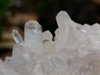 Natural Clear Quartz Clusters x 12 From Madagascar - Toprock Gemstones and Minerals 