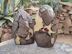 Polished Septerye Standing Free Forms x 2 From Mahajanga, Madagascar - Toprock Gemstones and Minerals 