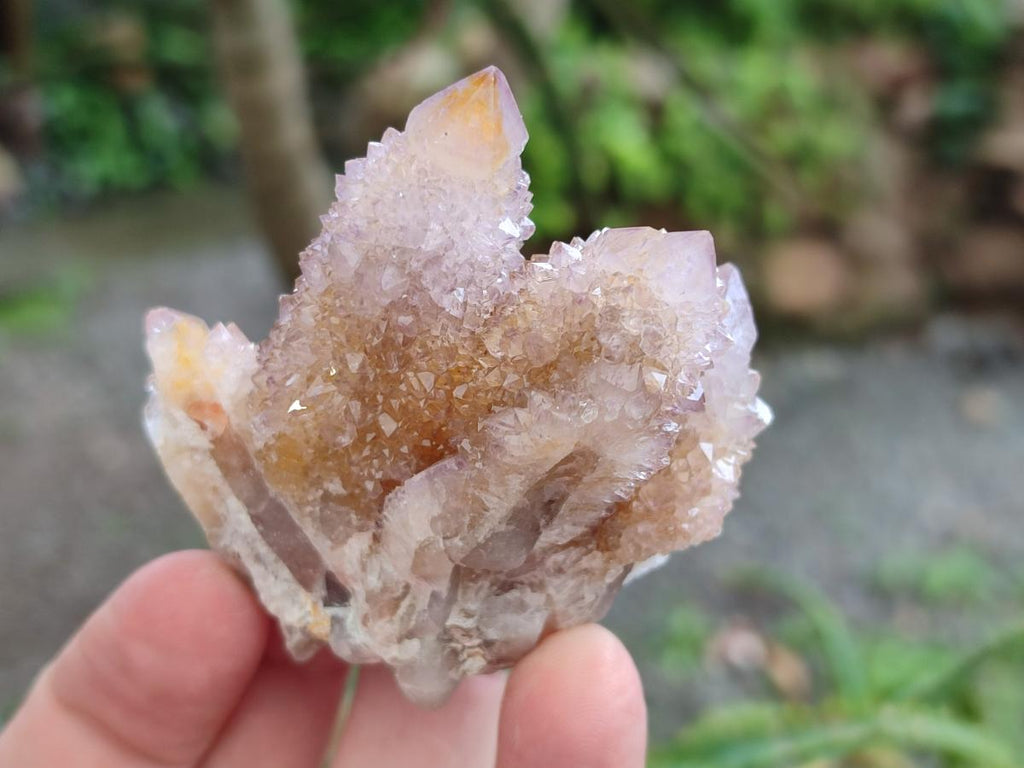 Natural Amethyst and Ametrine Spirit Clusters x 12 From Boekenhouthoek, South Africa - Toprock Gemstones and Minerals 