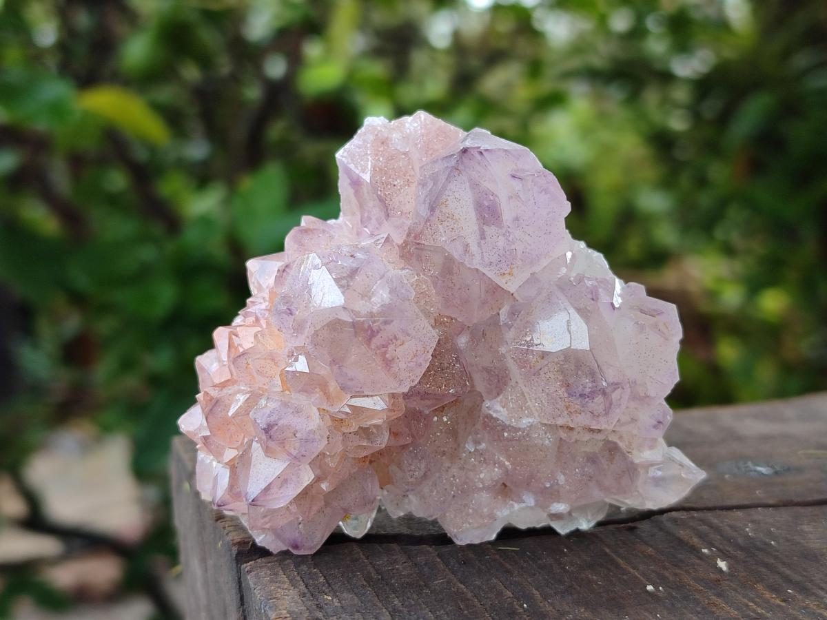 Natural Amethyst and Ametrine Spirit Clusters x 12 From Boekenhouthoek, South Africa - Toprock Gemstones and Minerals 