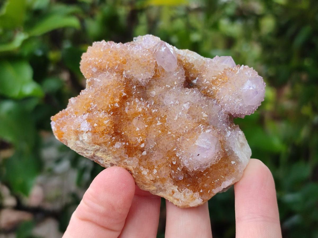 Natural Amethyst and Ametrine Spirit Clusters x 12 From Boekenhouthoek, South Africa - Toprock Gemstones and Minerals 