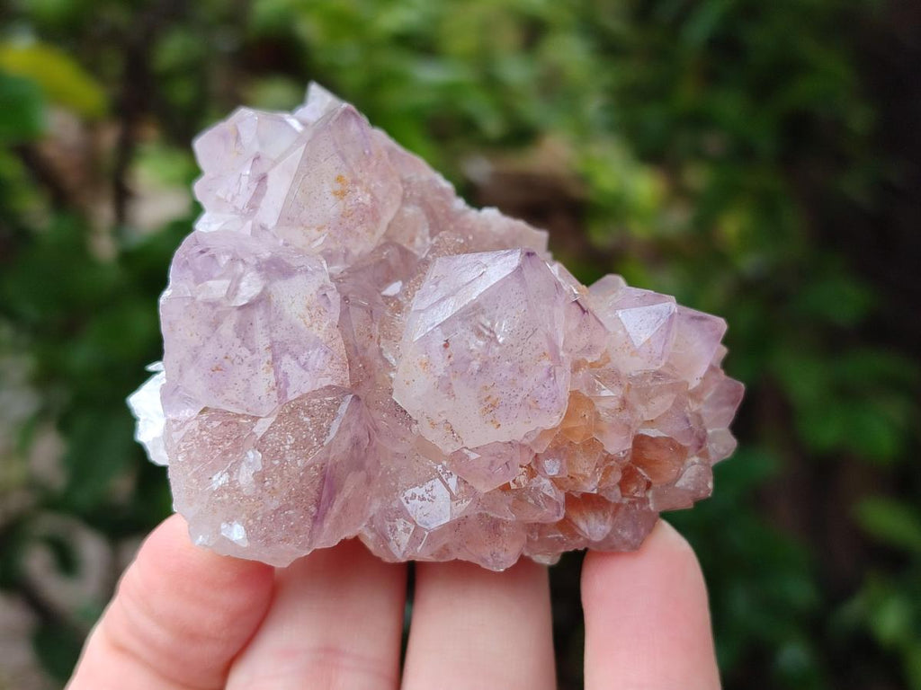 Natural Amethyst and Ametrine Spirit Clusters x 12 From Boekenhouthoek, South Africa - Toprock Gemstones and Minerals 