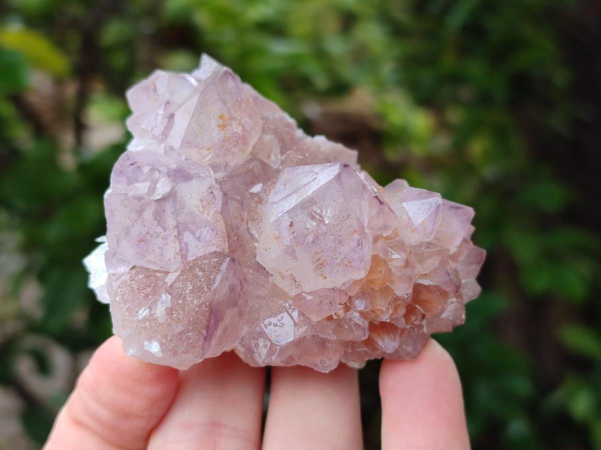 Natural Amethyst and Ametrine Spirit Clusters x 12 From Boekenhouthoek, South Africa - Toprock Gemstones and Minerals 