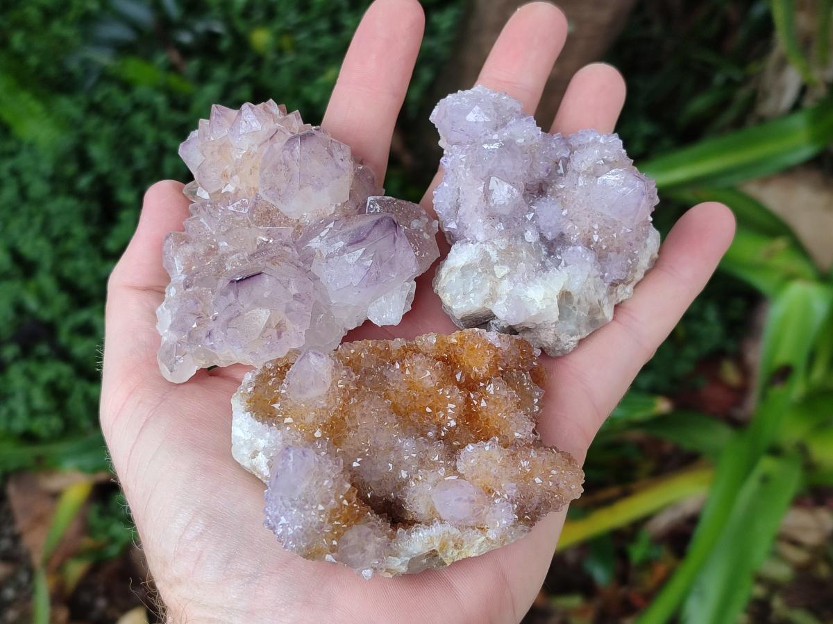 Natural Amethyst and Ametrine Spirit Clusters x 12 From Boekenhouthoek, South Africa - Toprock Gemstones and Minerals 