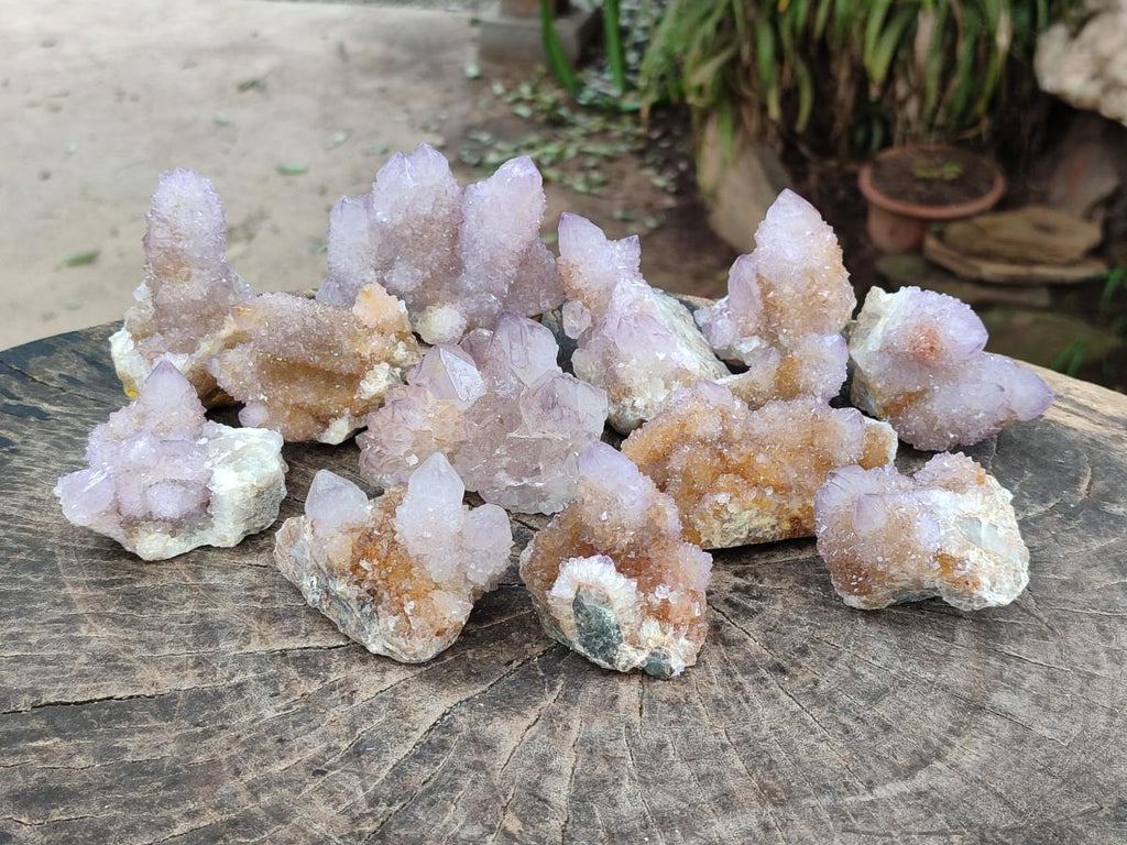 Natural Amethyst and Ametrine Spirit Clusters x 12 From Boekenhouthoek, South Africa - Toprock Gemstones and Minerals 