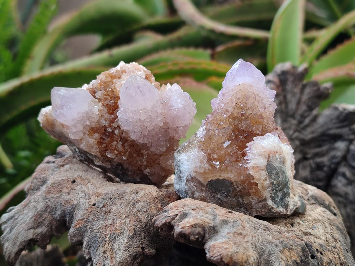 Natural Amethyst and Ametrine Spirit Clusters x 12 From Boekenhouthoek, South Africa - Toprock Gemstones and Minerals 
