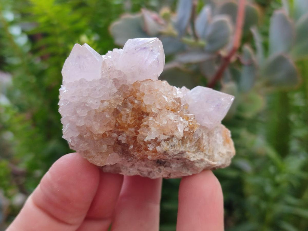 Natural Amethyst and Ametrine Spirit Clusters x 12 From Boekenhouthoek, South Africa - Toprock Gemstones and Minerals 