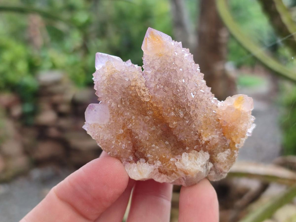 Natural Amethyst and Ametrine Spirit Clusters x 12 From Boekenhouthoek, South Africa - Toprock Gemstones and Minerals 