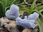 Natural Etched Blue Chalcedony Geodes x 3 From Nsanje, Malawi - Toprock Gemstones and Minerals 