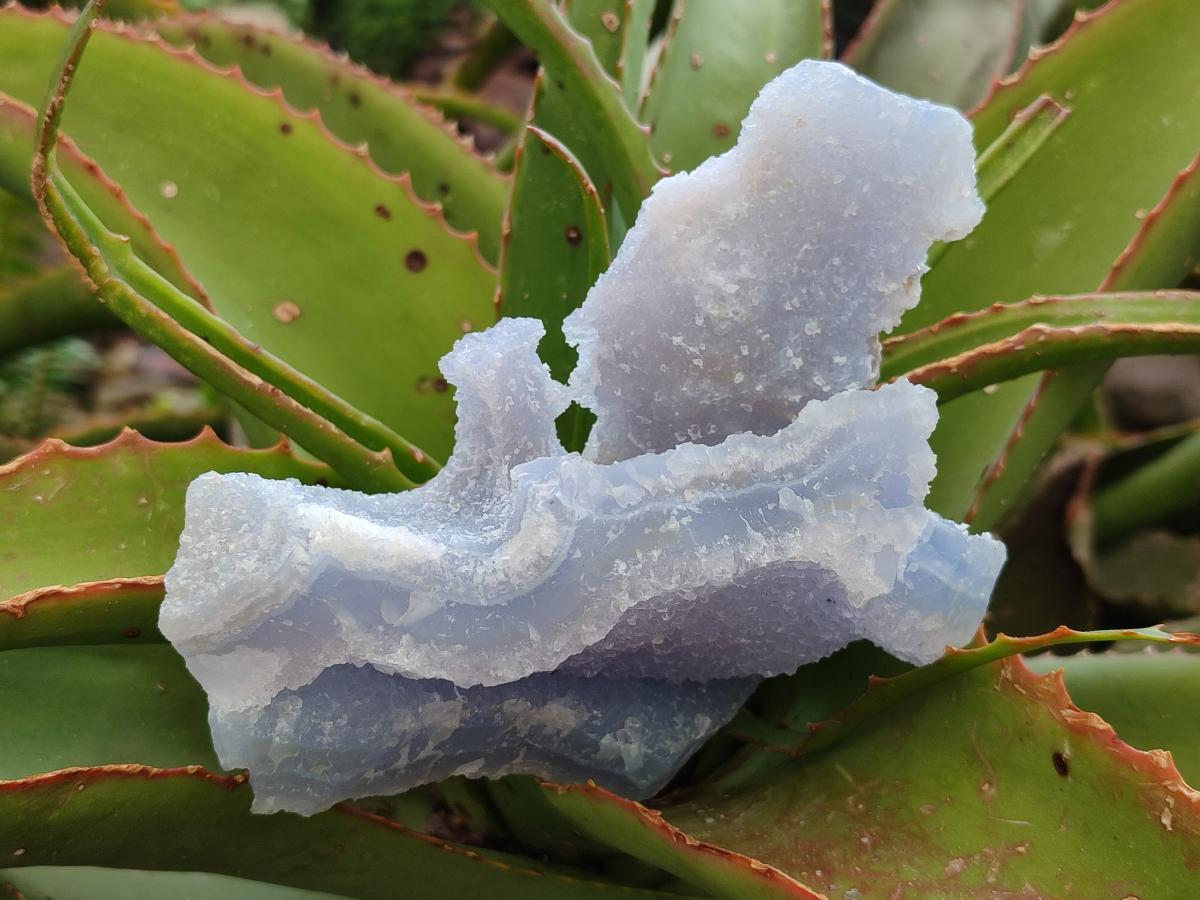 Natural Etched Blue Chalcedony Geodes x 3 From Nsanje, Malawi - Toprock Gemstones and Minerals 