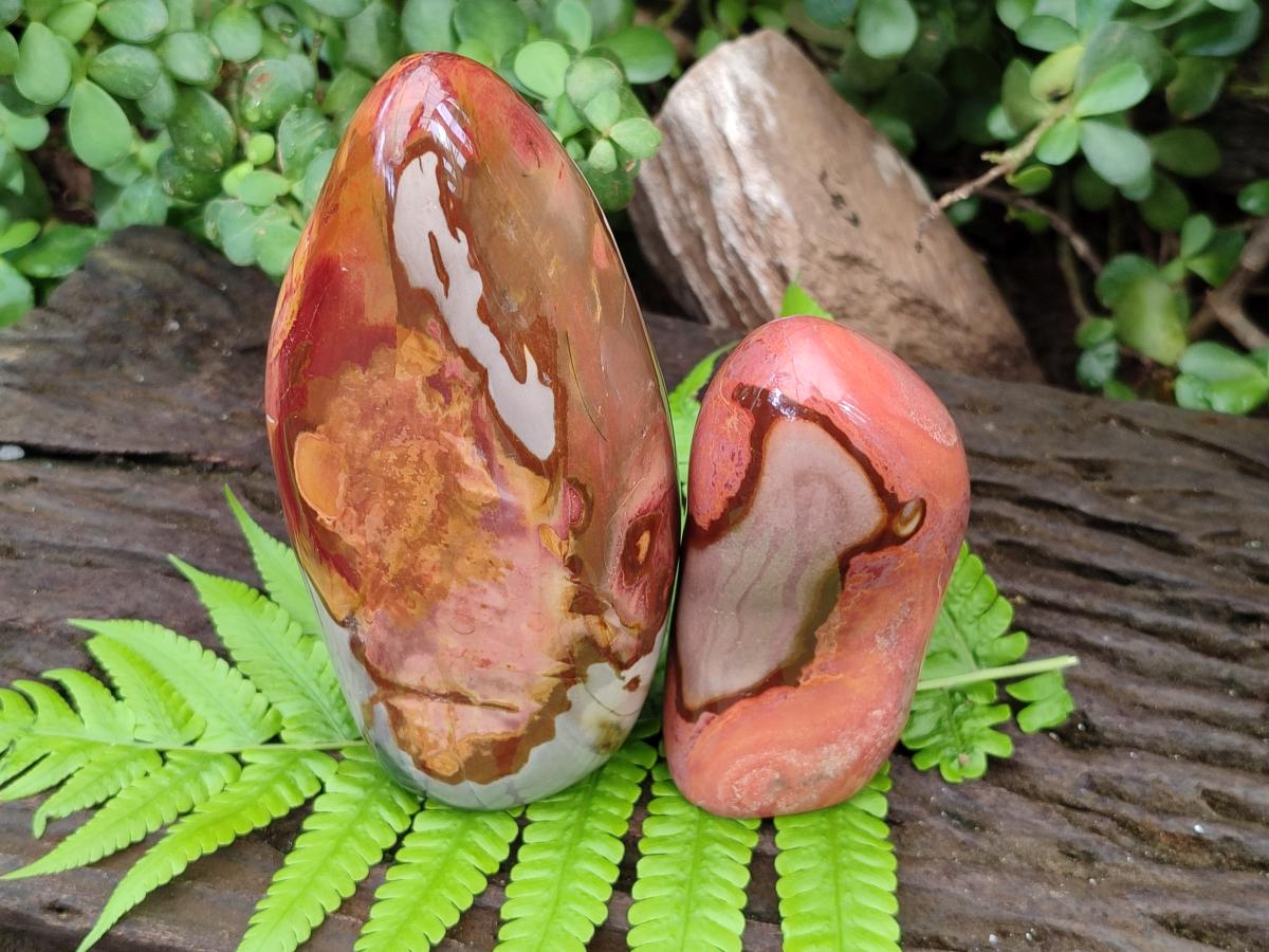 Polished Polychrome Jasper Standing Free Form x 3 From NW Coast, Madagascar - Toprock Gemstones and Minerals 