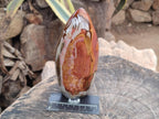 Polished Polychrome Jasper Standing Free Form x 3 From NW Coast, Madagascar - Toprock Gemstones and Minerals 
