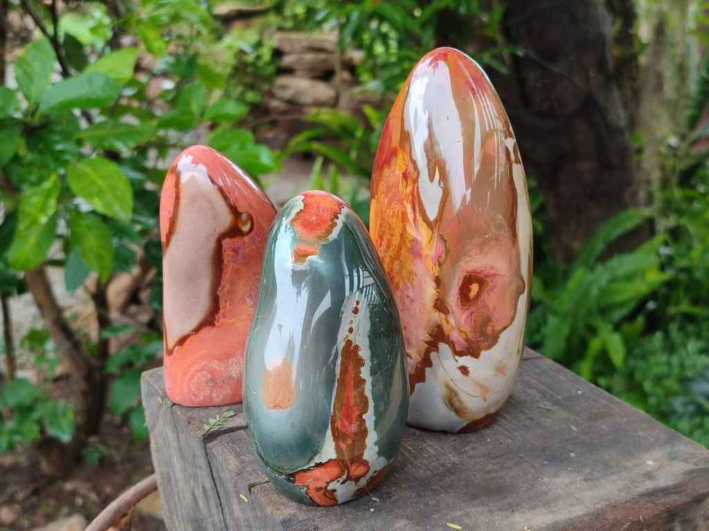 Polished Polychrome Jasper Standing Free Form x 3 From NW Coast, Madagascar - Toprock Gemstones and Minerals 