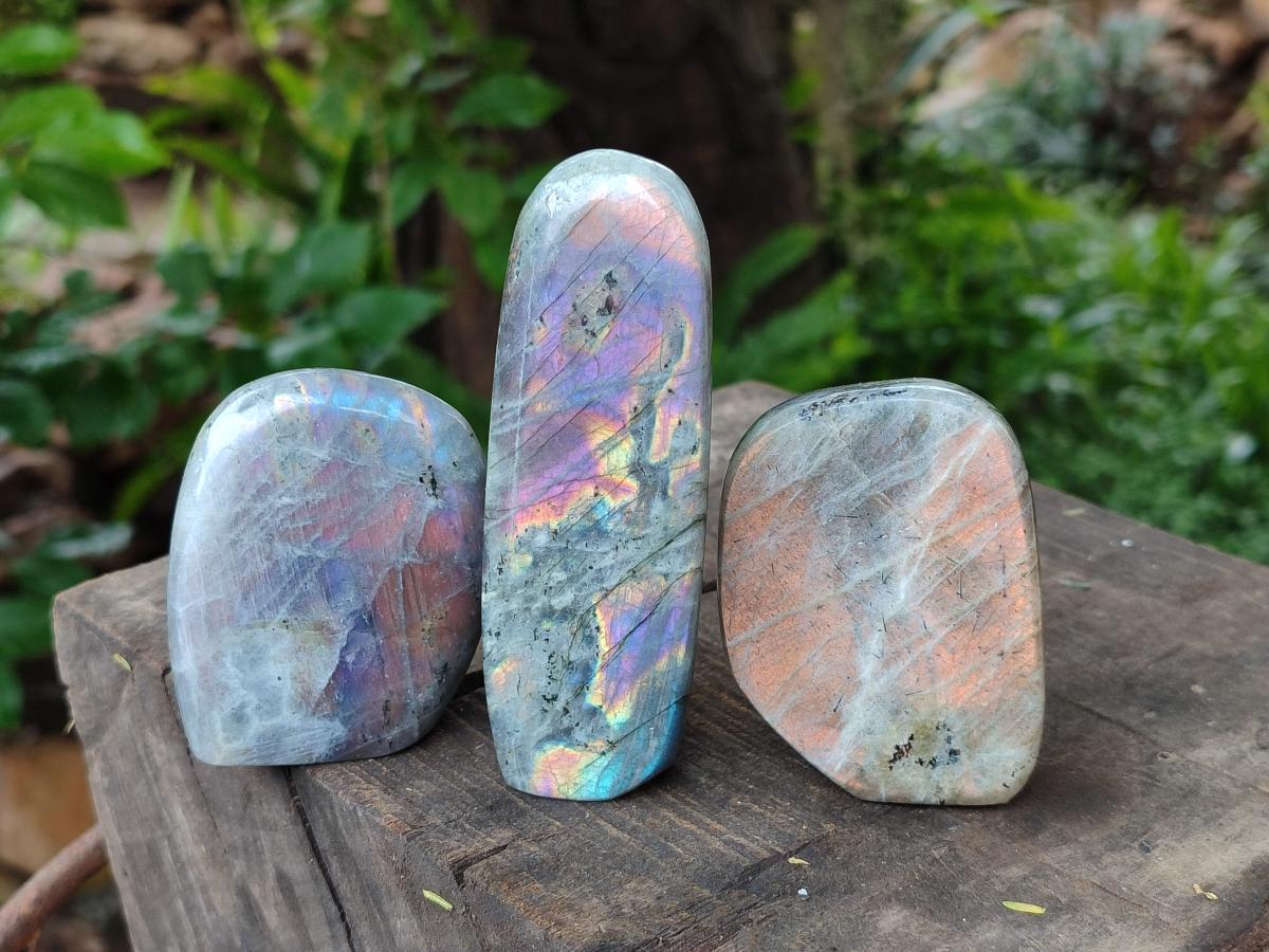 Polished Rare Purple Sunset Flash Labradorite Standing Free Forms x 8 From Madagascar - Toprock Gemstones and Minerals 