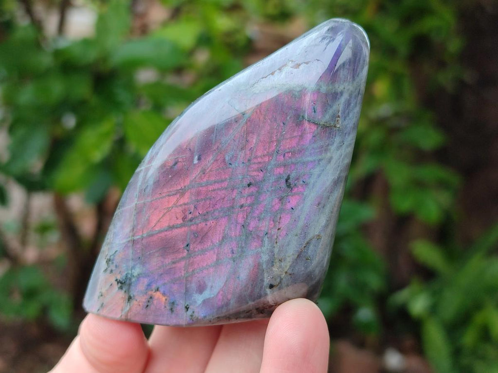 Polished Rare Purple Sunset Flash Labradorite Standing Free Forms x 8 From Madagascar - Toprock Gemstones and Minerals 