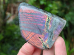 Polished Rare Purple Sunset Flash Labradorite Standing Free Forms x 8 From Madagascar - Toprock Gemstones and Minerals 
