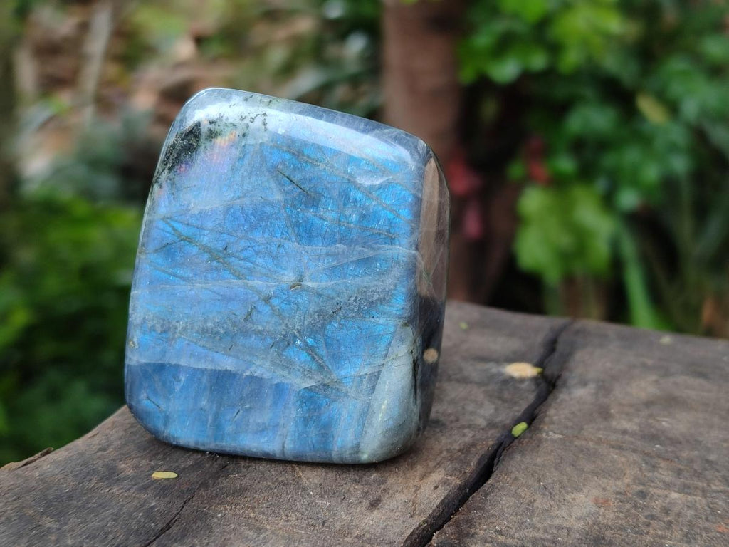 Polished Rare Purple Sunset Flash Labradorite Standing Free Forms x 8 From Madagascar - Toprock Gemstones and Minerals 