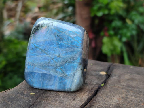 Polished Rare Purple Sunset Flash Labradorite Standing Free Forms x 8 From Madagascar - Toprock Gemstones and Minerals 