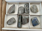 Polished Rare Purple Sunset Flash Labradorite Standing Free Forms x 8 From Madagascar - Toprock Gemstones and Minerals 