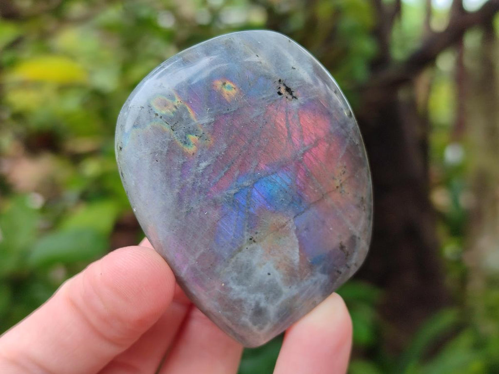 Polished Rare Purple Sunset Flash Labradorite Standing Free Forms x 8 From Madagascar - Toprock Gemstones and Minerals 