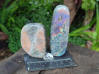 Polished Rare Purple Sunset Flash Labradorite Standing Free Forms x 8 From Madagascar - Toprock Gemstones and Minerals 