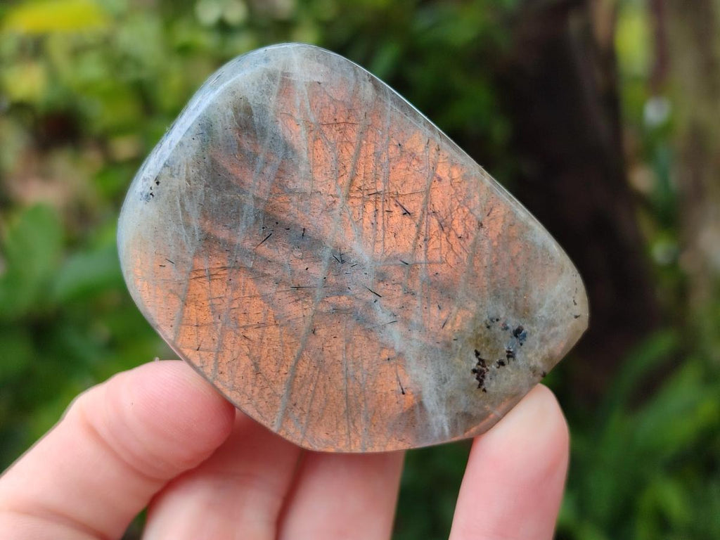 Polished Rare Purple Sunset Flash Labradorite Standing Free Forms x 8 From Madagascar - Toprock Gemstones and Minerals 
