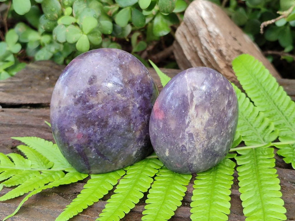 Polished Lepidolite Standing Free Forms x 6 From Ambatondrazaka, Madagascar - Toprock Gemstones and Minerals 