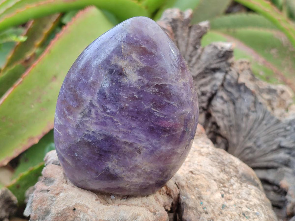 Polished Lepidolite Standing Free Forms x 6 From Ambatondrazaka, Madagascar - Toprock Gemstones and Minerals 