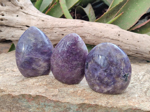Polished Lepidolite Standing Free Forms x 6 From Ambatondrazaka, Madagascar - Toprock Gemstones and Minerals 