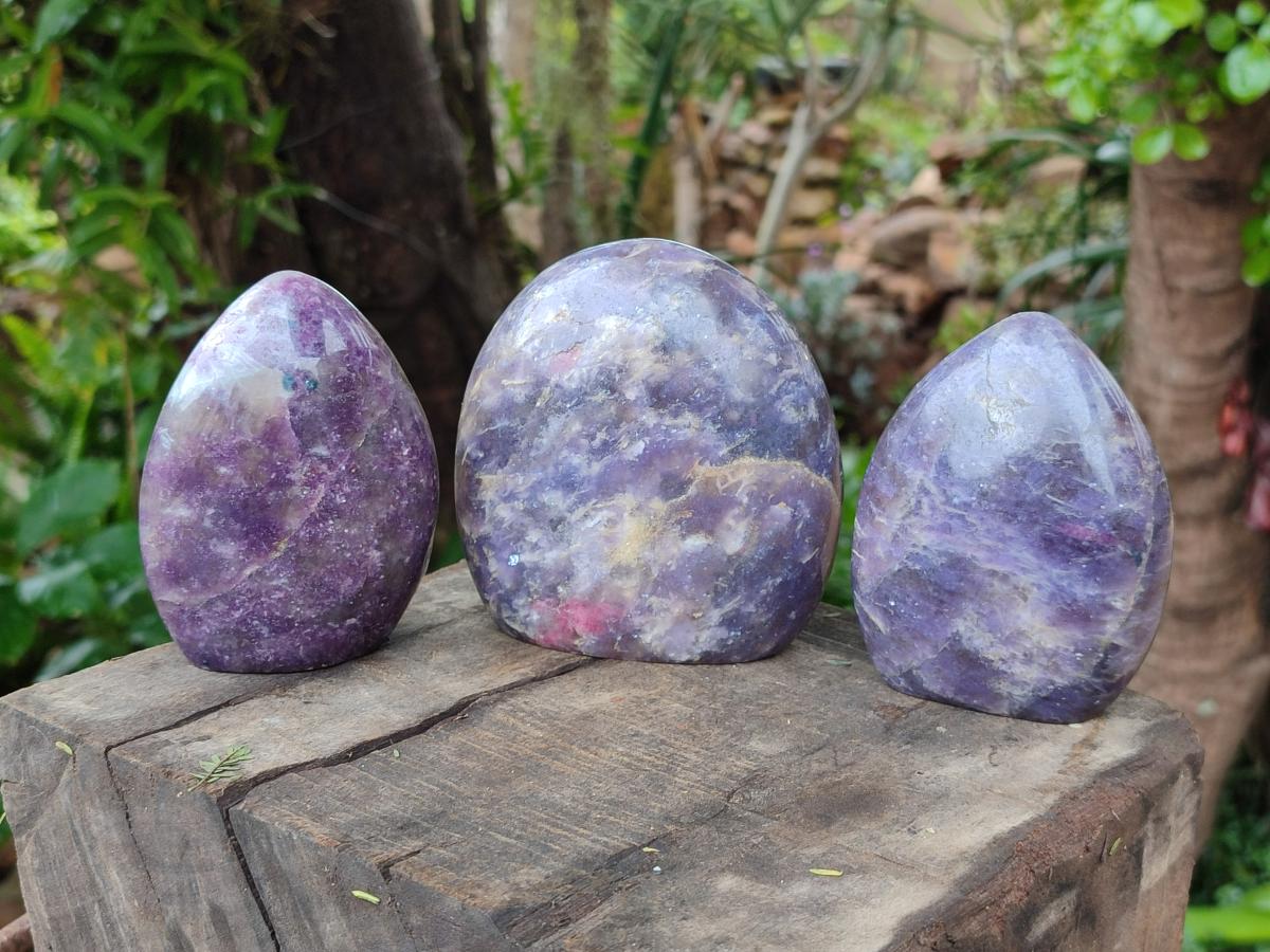 Polished Lepidolite Standing Free Forms x 6 From Ambatondrazaka, Madagascar - Toprock Gemstones and Minerals 