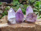 Polished Smokey Amethyst Window Crystals x 24 From Akansobe, Madagascar - Toprock Gemstones and Minerals 