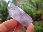 Polished Smokey Amethyst Window Crystals x 24 From Akansobe, Madagascar - Toprock Gemstones and Minerals 