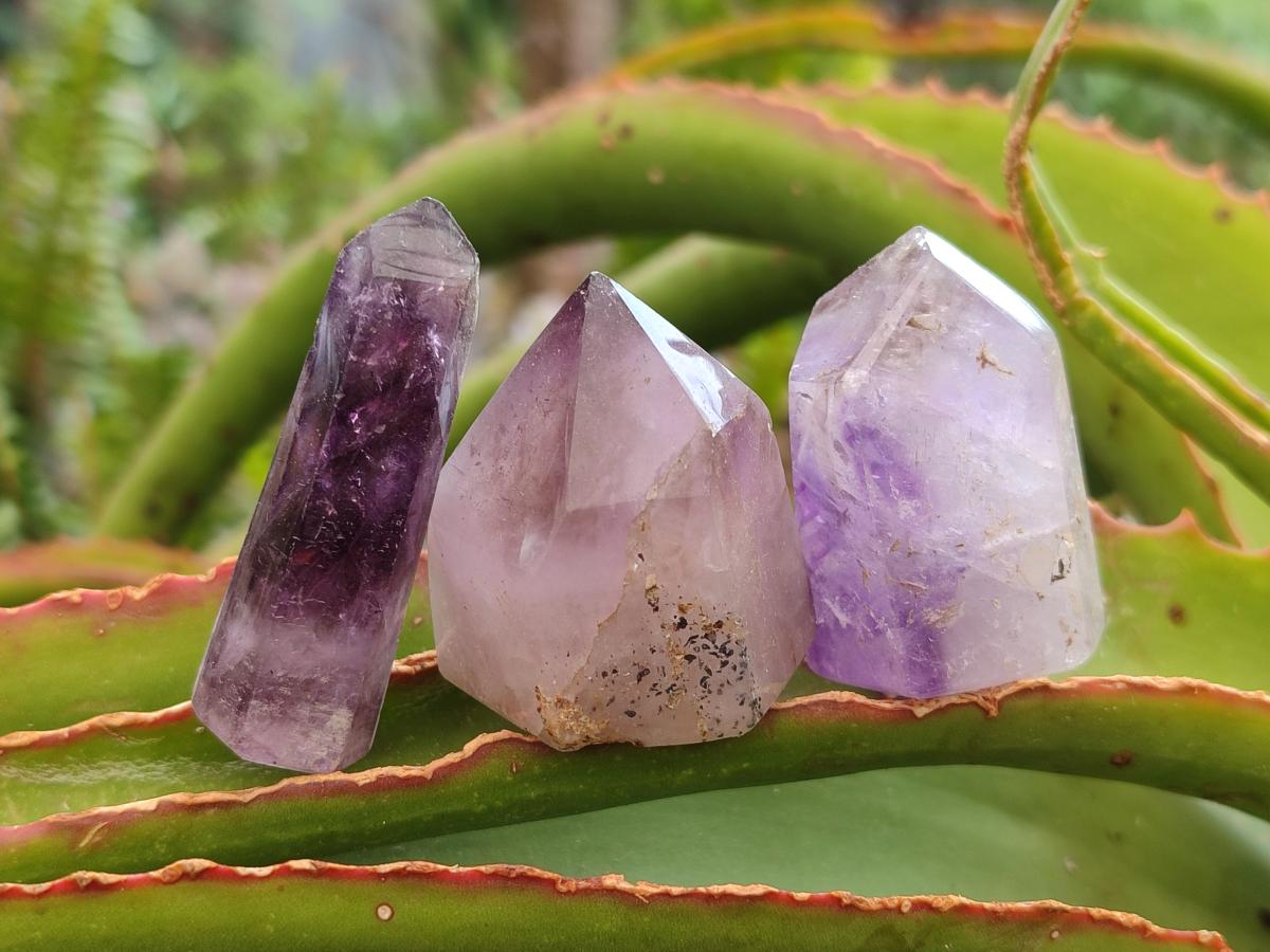 Polished Smokey Amethyst Window Crystals x 24 From Akansobe, Madagascar - Toprock Gemstones and Minerals 